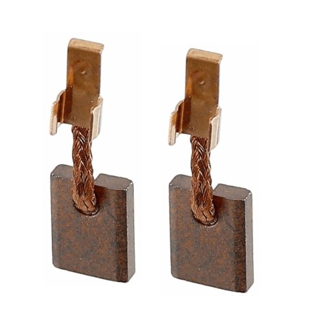 Escobillas de carbon para 0899.02J